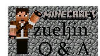Zueljin Q & A  Minecraft Hunger Games