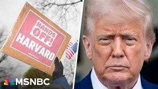'End goal is to inflict maximum pain on Harvard': Trump seeks to end school's federal funding