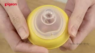 How To Assemble PIGEON SofTouch Peristaltic Plus Nipple onto Nursing Bottle