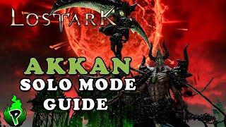 Solo Mode Guide: Akkan l | Lost Ark EU | DerPyr0n