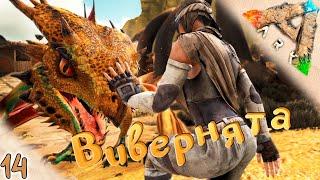 Растим виверн #14  Выжженные Земли - ARK Survival Evolved Scorched Earth