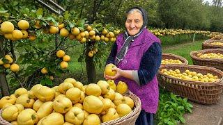 Fresh Quince Harvest for Winter: Making Lots of Jam and Cake in A Remote Village!