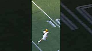 Now that's a SWEET TRICK play 🪄 #Fleaflicker #TD #Idaho #trickplay #collegefootball