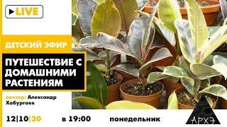 Детский эфир "Путешествие с домашними растениями" в рамках рубрики "Путешествия с натуралистом"