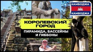 КОРОЛЕВСКИЙ ГОРОД: ПИРАМИДА, БАССЕЙНЫ И ...ГИББОНЫ #камбоджа #cambodia #ангкортом #angkorthom