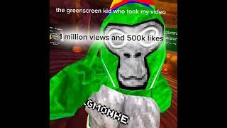 POV: That one green screen kid