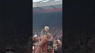 pink signs for a fan, summer carnival 2024