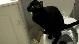 Beatnik Uses the Potty