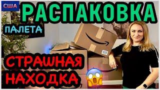 Испугались, когда открыли коробкуСтрашно! Но…потом Распаковка палета. Amazon. США. Флорида