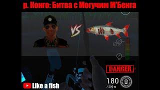 Fishing Planet - Река Конго - Битва с Могучим М'Бенга (Мзунга против Мбенга)