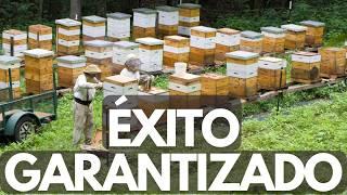 The 6 FACTORS that GUARANTEE your BEEKEEPING SUCCESS