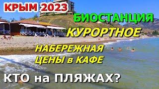 БИОСТАНЦИЯ, КУРОРТНОЕ/Феодосия. Как сейчас в Крыму? ЖАРА! НАБЕРЕЖНАЯ, ПЛЯЖ. ЦЕНЫ В КАФЕ. КРЫМ 2023.