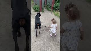 DOBERMANN Reav und meine Tochter ‼️