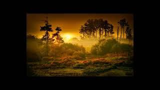 BEAUTIFUL PHOTOS OF NATURE 87