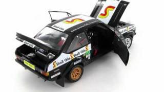 Ford Escort RS1800 Vatanen - Wilson  Circuit of Ireland 1982 1:18 Scale Model