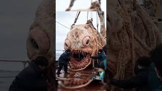 huge deep sea monster caught #ytshorts #amazing #fishing #ocean #deepsea #ai #pacific