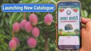 Update : Launching New Catalogue | Avadh Nursery | Online plants | Malihabad