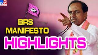 BRS Manifesto Highlights  | CM KCR Releases BRS Manifesto 2023 -TV9