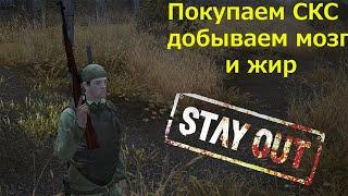 Stay Out (Stalker Online) Покупаем СКС добываем мозг и жир