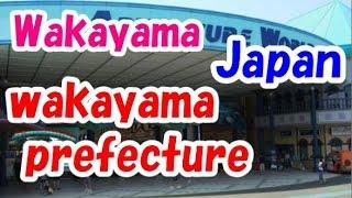 Japan Travel:  Things to Do, Explore and Experience in Wakayama Prefecture 29