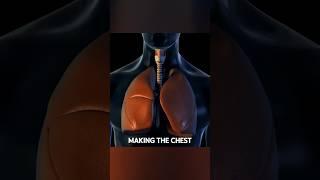 Iron Lungs EXPLAINED!