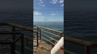 What a Beautiful view…. #music #song #strandeddeepgame #strandeddeepgameplay #stranded