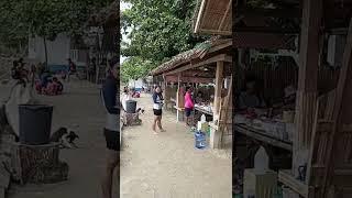 Morning in Palo Beach , Loay Bohol