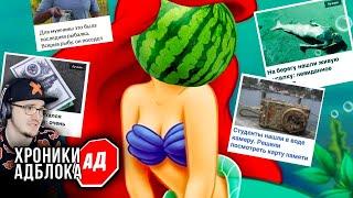 СЫЕНДУК ► ГЛУБИННЫЕ ХРОНИКИ АДБЛОКА | Реакция