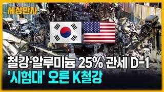 철강·알루미늄 25% 관세 D-1…'시험대' 오른 K철강 [세상만사] #k철강 #알루미늄 #철강 #관세