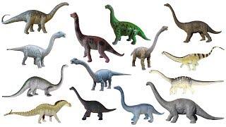 Sauropod Dinosaurs - Brontosaurus, Apatosaurus, Diplodocus - The Kids' Picture Show (Learning Video)