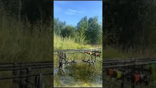 Рыбалка  она  такая.                  #fishing #story #fish #рек #топ