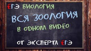 Вся зоология ЕГЭ тут от эксперта ЕГЭ | Биология ЕГЭ