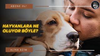 Hayvanlara Ne Oluyor Böyle? | What is happening to animals?