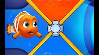 Save The Fish Gameplay/ Fishdom Games Videos || Click Tv Game