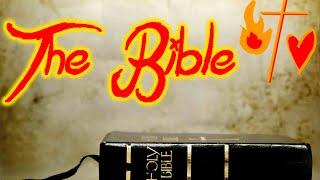 Why I Love the Bible
