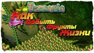 Terraria 1.3.5.3 / Террария 1.3.5.3 [КАК ОЧЕНЬ БЫСТРО И ПРОСТО ДОБЫТЬ ФРУКТЫ ЖИЗНИ!!!]