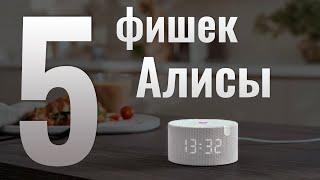 Ещё 5 фишек Алисы, которые вам помогут!