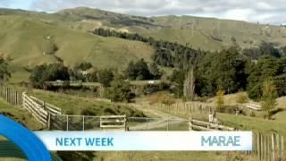 Next Week on Marae