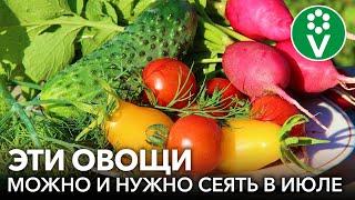 ЕЩЕ НЕ ПОЗДНО ПОСЕЯТЬ В ИЮЛЕ! Список овощных культур, которые можно и нужно сеять в июле