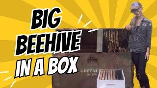 Big Beehive in a Box