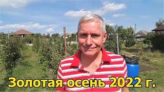 #302 Золотая осень 2022 года/Переезд  в Краснодарский край из Европы/Жизнь на Юге/село Молдаванское.