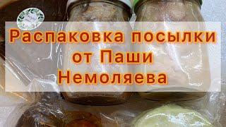 Распаковка посылки от Паши Немоляева