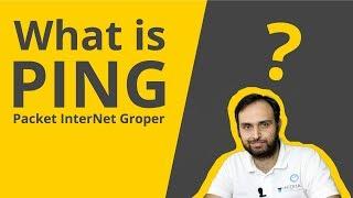 What is Packet Internet Gropher? | What is PING? | PING Explained