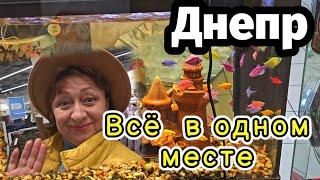 ️ДНЕПР ‼️ВСЁ в одном МЕСТЕ 25 октября 2024 г.