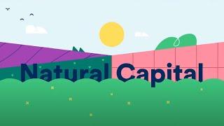 What is natural capital?