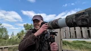 Canon RF 200-800. Is it really that bad?