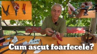 Cum ascut foarfecele pentru tăiat pomi/vie?