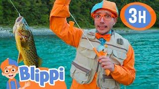 Blippi Catches A RARE Fish! |  Blippi and Meekah Best Friend Adventures | Educational Videos