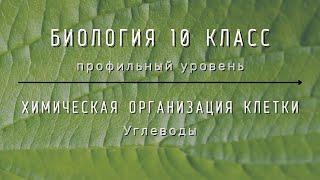 Биология 10 кл Проф уровень $9 Углеводы