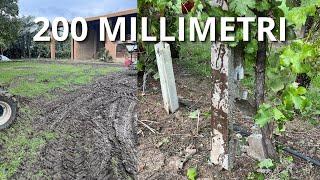 ENNESIMA ALLUVIONE - VENDEMMIA 2024 - Parte 2